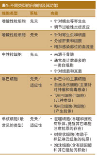 恒天然资讯 恒天然资讯