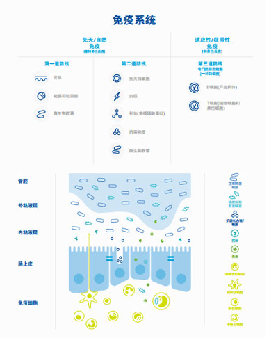 恒天然资讯 恒天然资讯