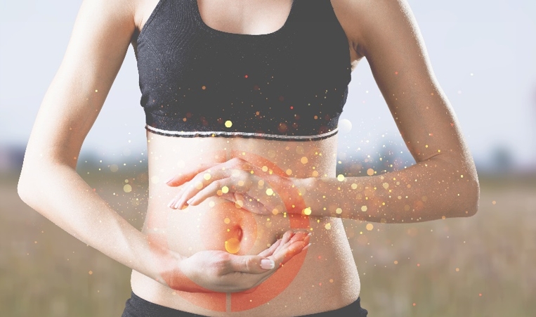 1698378622519263.png 1698378622519263.png