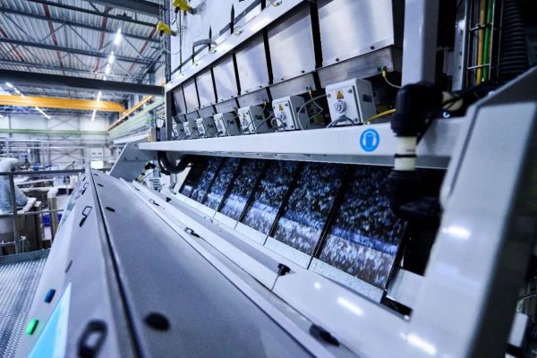 1750302246348104.jpg 7.jpg